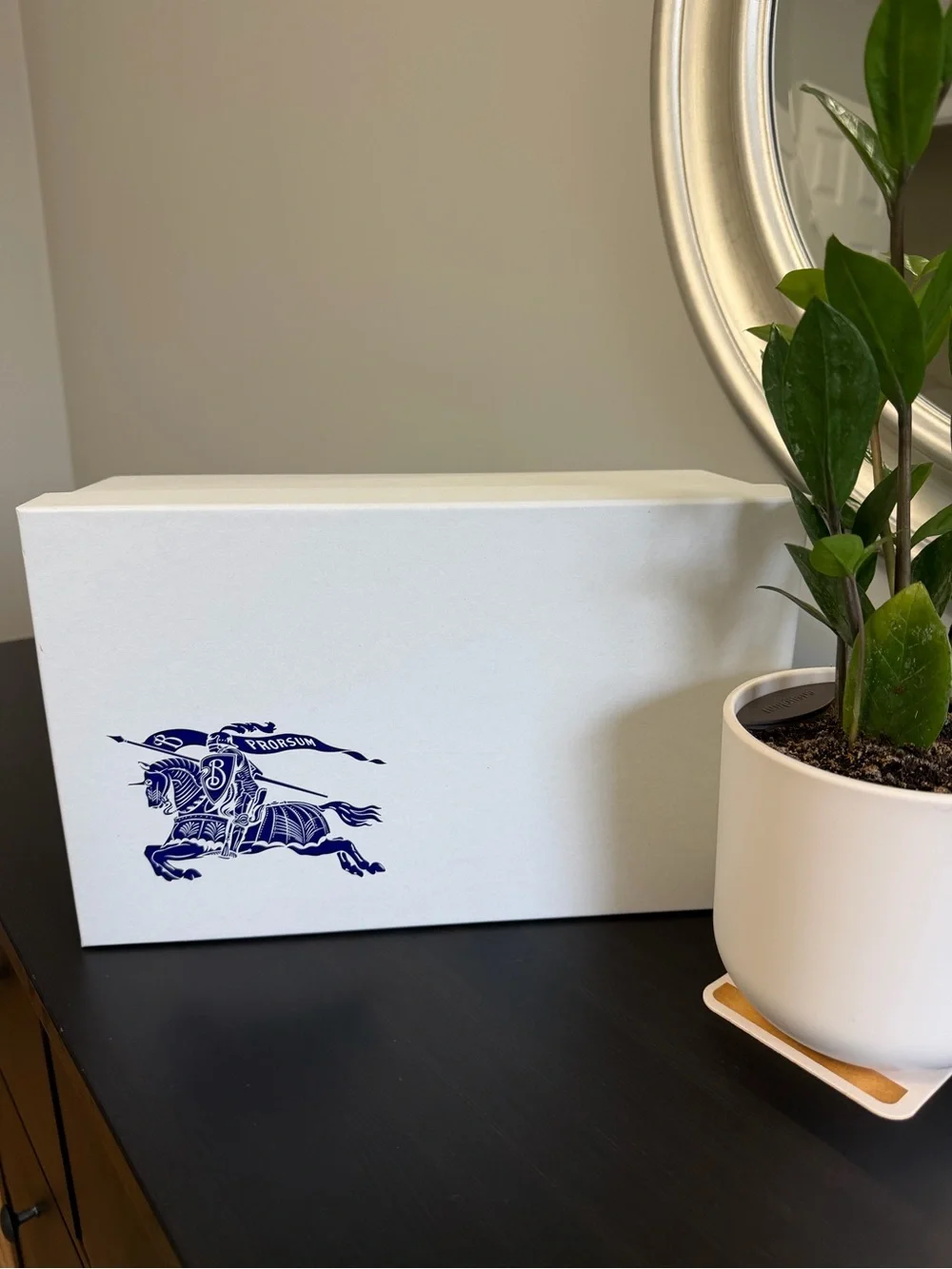 Burberry White Shoe or Storage Box